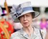 They claim that Princess Anne lost her memory after a concussion