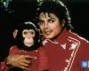 Luxury, controversy and a suicide attempt: the story of Bubbles, Michael Jackson’s beloved monkey | Society