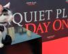 Frodo, the cat who stole the spotlight from Lupita Nyong’o in ‘A Quiet Place: Day One’