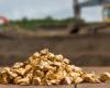 Infinito Gold Company withdraws claim against Costa Rica for failed project in Crucitas