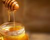 Córdoba Honey: a natural treasure to boost biodiversity and economic growth