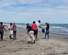 Ombudsman’s Office holds awareness and beach cleaning day in Moñitos, Córdoba