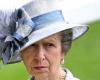 Princess Anne returns home after horse accident