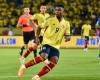 Cuesta and Córdoba, surprises in the Colombian National Team: minutes played with Lorenzo | Colombian National Team