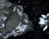 Asteroid Bennu may have originated from an ocean world