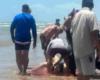 Video | Shark attacks people in South Padre Island, Texas