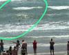 Woman attacked by shark on South Padre Island in Texas